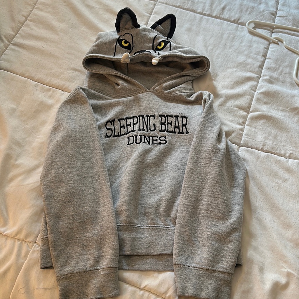 Fun, Excellent Condition Boys Wild Child Hoodie!